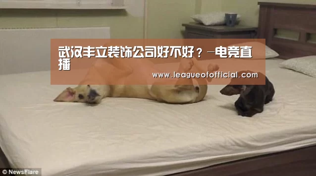 武汉丰立装饰公司好不好?-电竞直播(图1) LOL英雄联盟投注 - 官方电竞竞猜平台官网