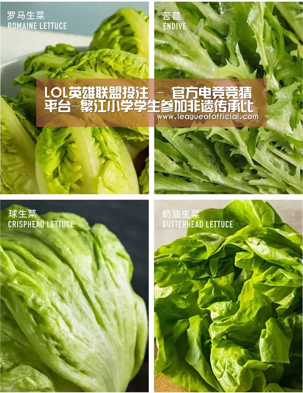 LOL英雄联盟投注 - 官方电竞竞猜平台-繁江小学学生参加非遗传承比赛获殊荣(图3) 电竞直播