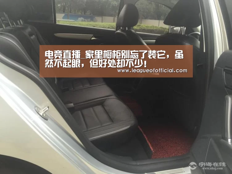 电竞直播_家里橱柜别忘了装它,虽然不起眼,但好处却不少!(图1) 电竞赛事