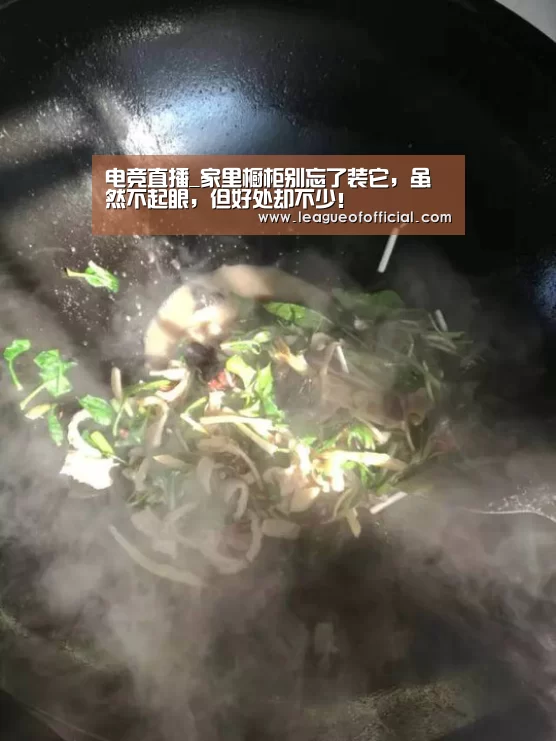 电竞直播_家里橱柜别忘了装它,虽然不起眼,但好处却不少!(图4) 电竞赛事