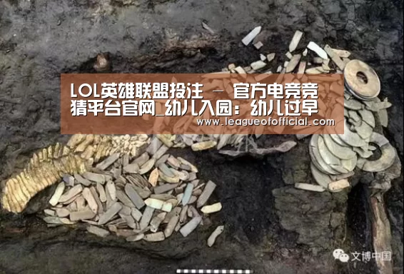 LOL英雄联盟投注 - 官方电竞竞猜平台官网_幼儿入园:幼儿过早入园的八大担忧(图2) 电竞赛事